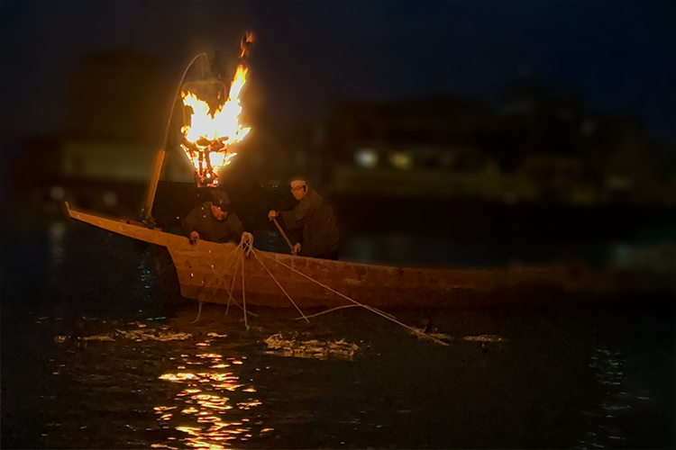 1300 years of history. Nagara River Cormorant Fishing