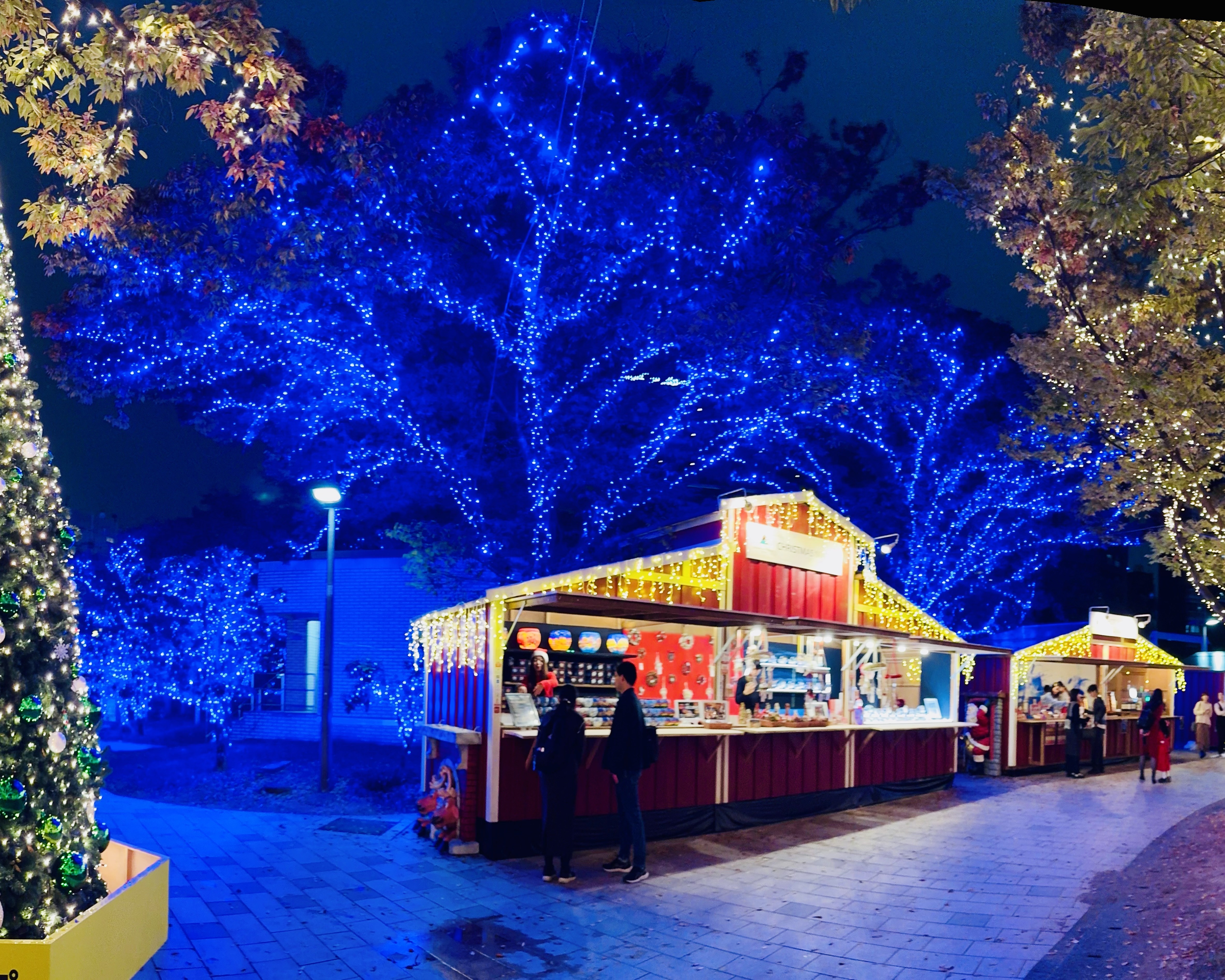 A winter festival to experience with all five senses: Fukuoka Christmas Advent 2024