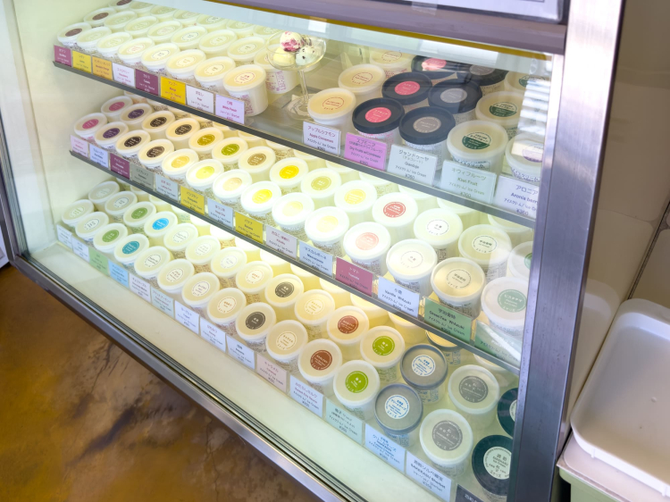 Ice cream and sorbet display case next to the cash register