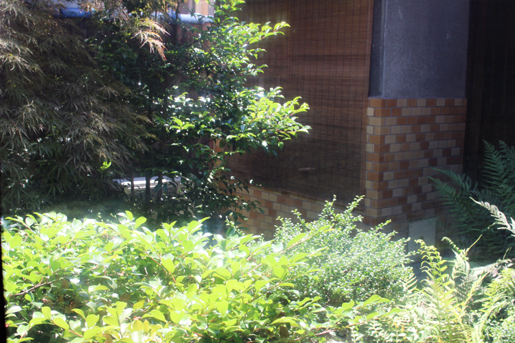 The sunlit courtyard of "Jika Cafe Yamada"