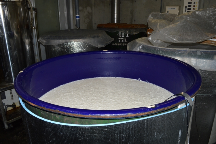 During the preparation process, steamed rice is fermented to create moromi.