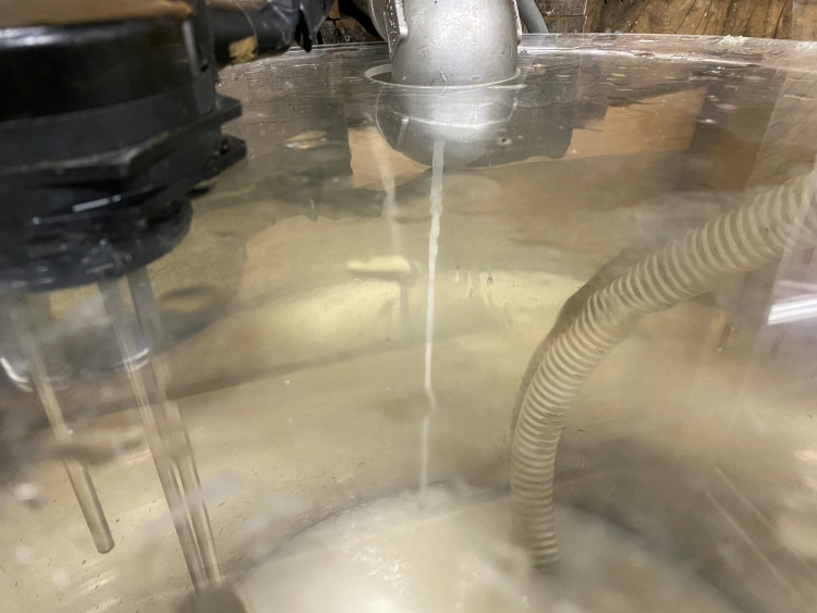 Unpasteurized sake squeezed out from the vat