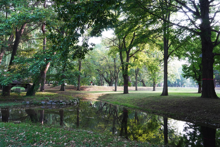 There are benches placed throughout the lush campus, allowing you to relax and enjoy the scenery.