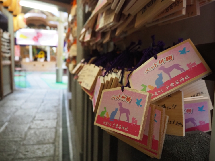 Many visitors write their wishes on votive plaques, praying for the health of their pets.