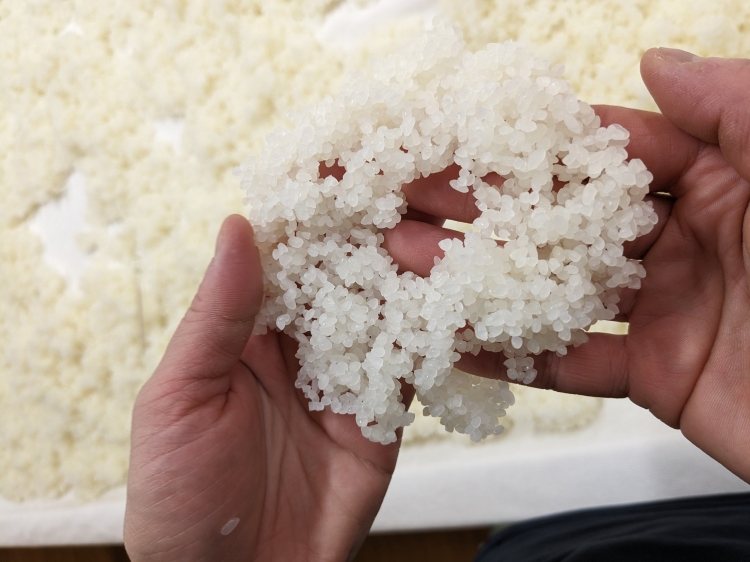 "Sakamai" is rice grown specifically for sake brewing.