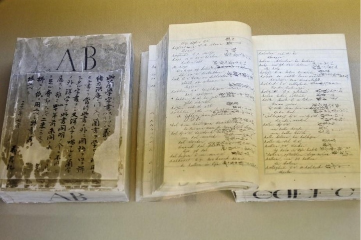 The Dutch dictionary "Zuf Halma" that students are said to have fought over