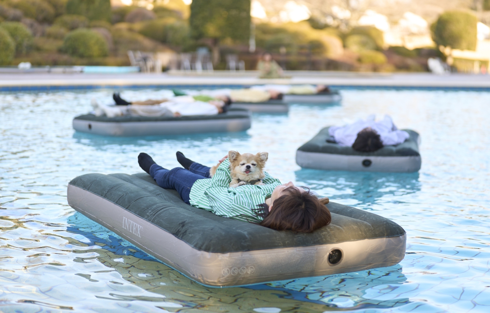 March 20th (Fri/Holiday) - May 31st (Sun) "Spring Retreat Fair"