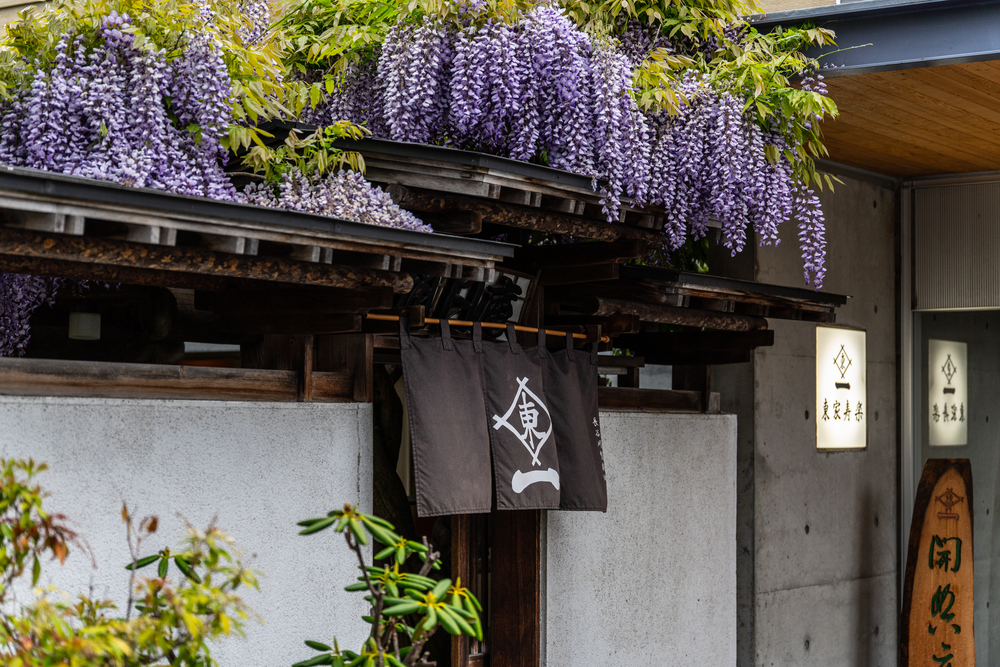 Higashiya Juraku, a long-established soba restaurant that has walked hand in hand with Maruyama, continues to pass down its flavors and restaurant management from father to son.