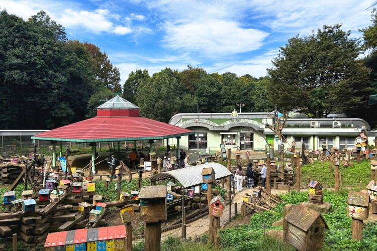 A field filled with beehives handcrafted by customers at the workshop
