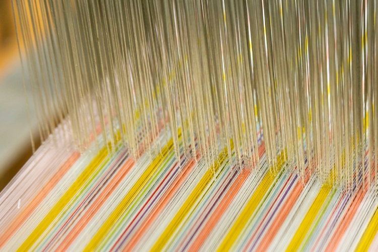 A beautiful sight of warp threads and weft threads intertwining.