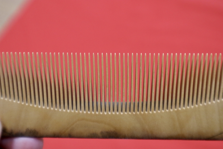The teeth of a comb after the "grinding" process is complete. You can see that they become thinner towards the ends.