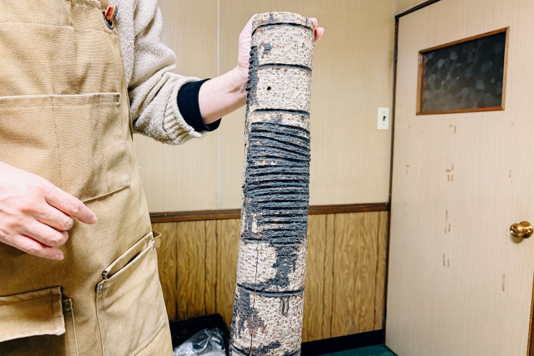 Lacquer tree from Fukuchiyama, Kyoto